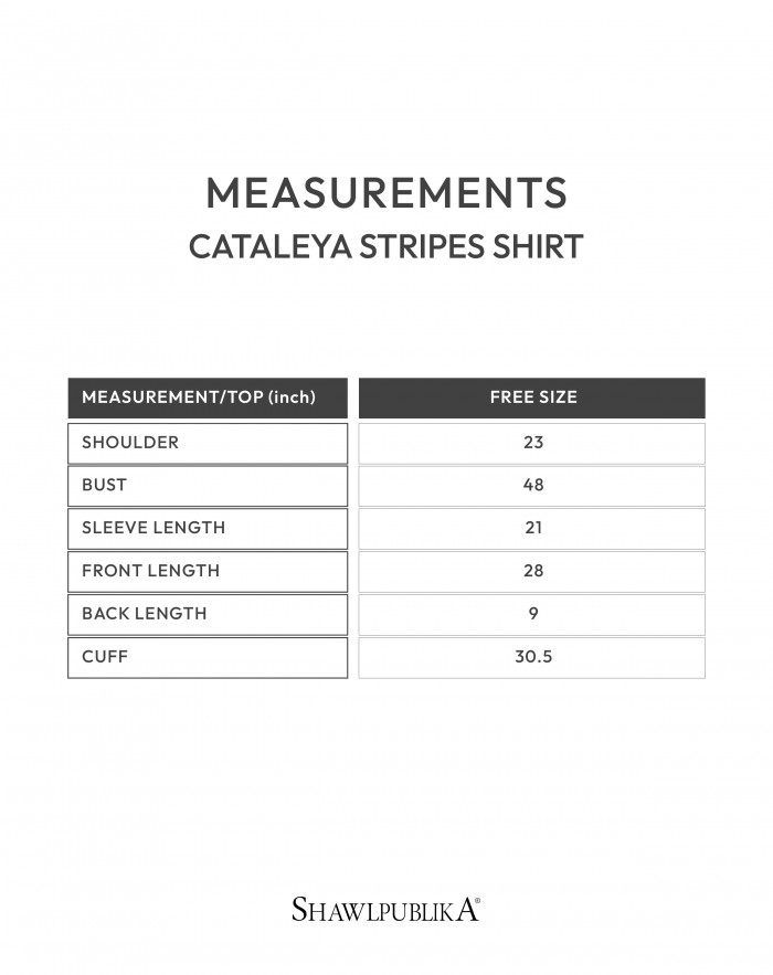 CATALEYA STRIPE SHIRT IN BLUE